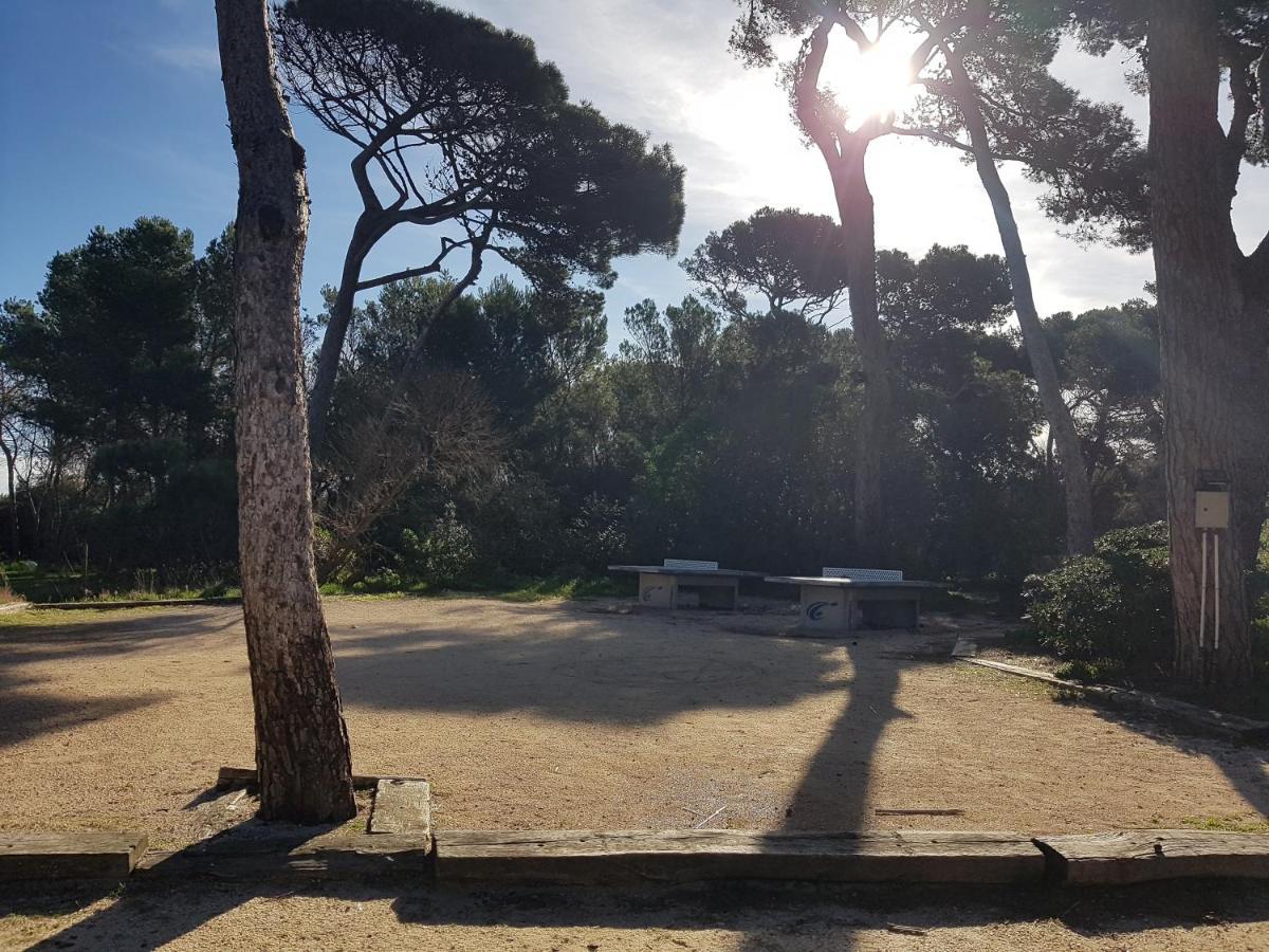 Le studio de giens Hyères Exterior foto