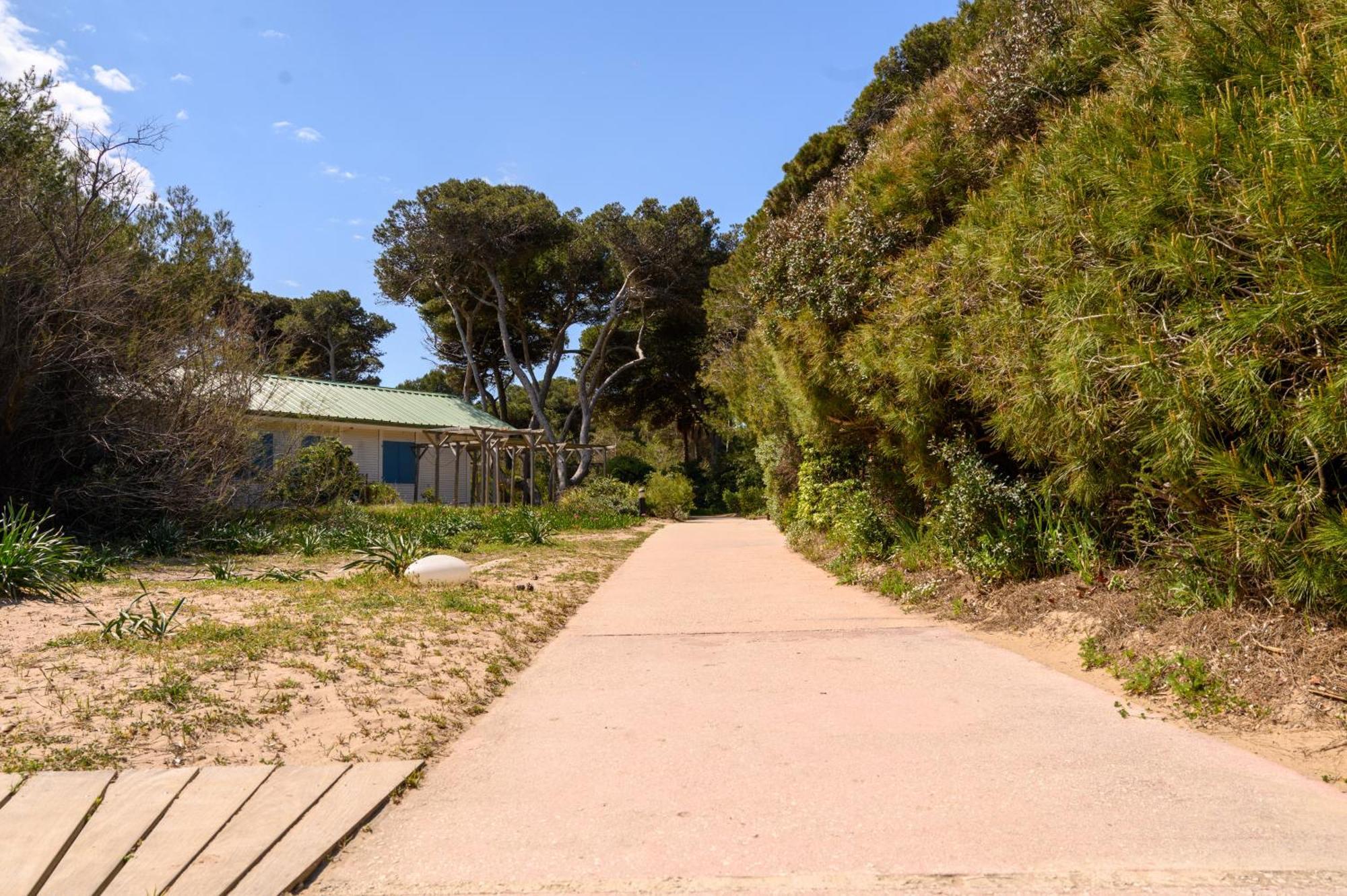 Le studio de giens Hyères Exterior foto